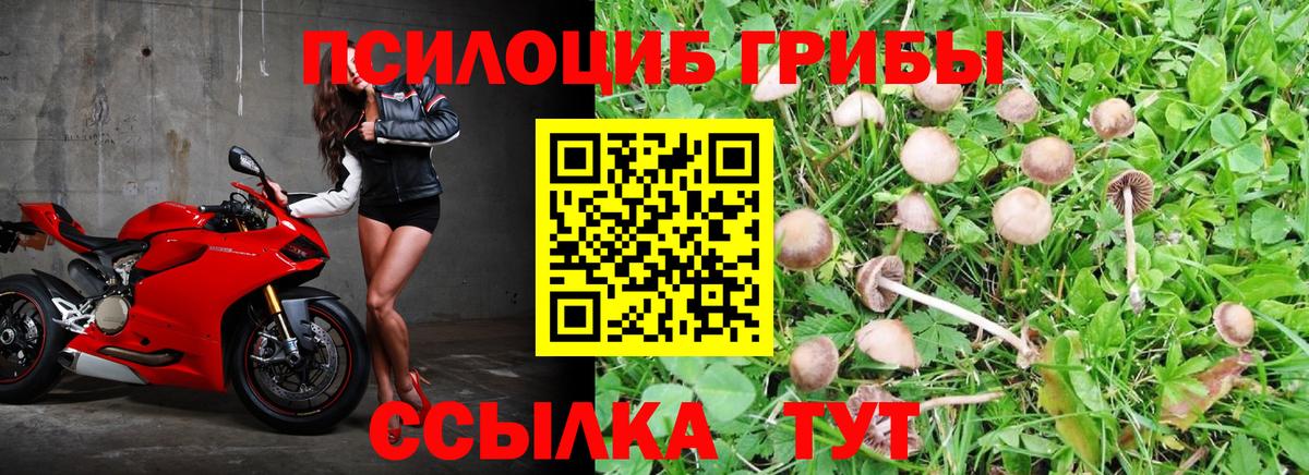 Галлюциногенные грибы GOLDEN TEACHER  Псилоцибиновые грибы Cubensis  Касимов  Вход с VPN 